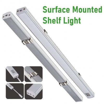 beauty store shelf light