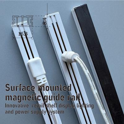 Surface mounted  magnetic guide rail